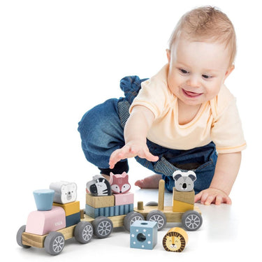 PolarB Wooden Stacking Train